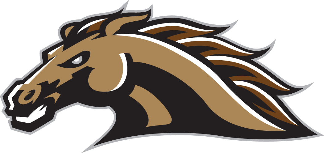 Western Michigan Broncos 1998-2015 Secondary Logo 01 vinyl decal